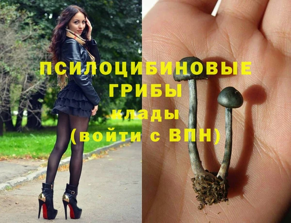 винт Бородино