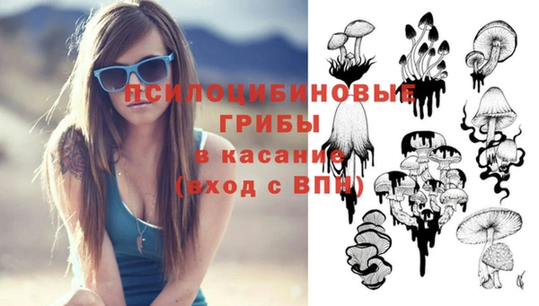 MESCALINE Богородицк
