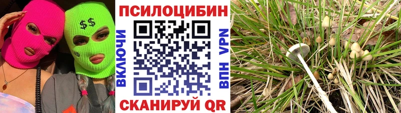 Псилоцибиновые грибы Psilocybine cubensis  shop формула  Северск  магазин  наркотиков 